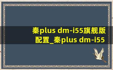 秦plus dm-i55旗舰版配置_秦plus dm-i55旗舰版配置图片